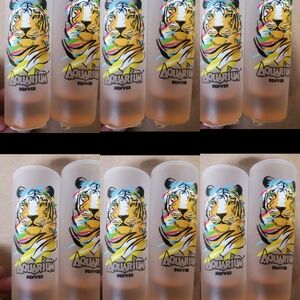 12pk Shot Glasses TIGERS